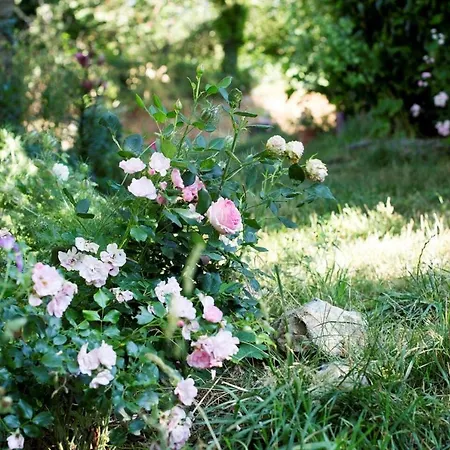 La Maisonnette La Petite Joulinie * Bor-et-Bar