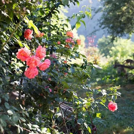Casa vacanze La Maisonnette La Petite Joulinie *