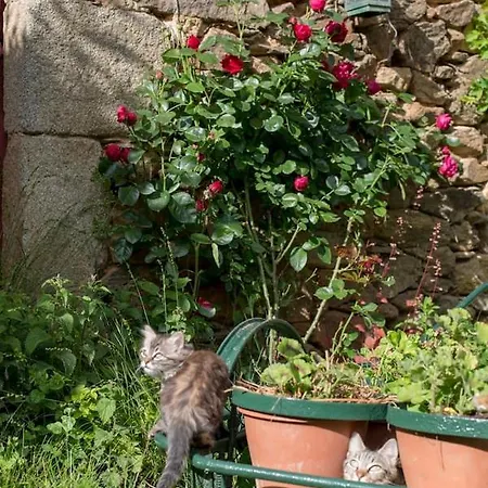 La Maisonnette La Petite Joulinie * Bor-et-Bar