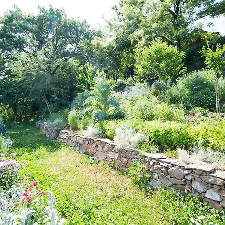 בית נופש La Maisonnette La Petite Joulinie Bor-et-Bar