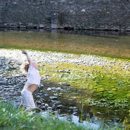 La Maisonnette La Petite Joulinie בית נופש Bor-et-Bar