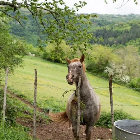 La Maisonnette La Petite Joulinie *