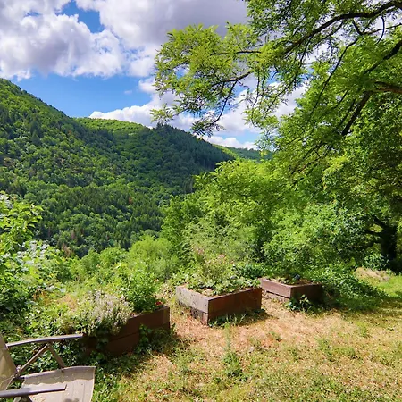 Σπίτι διακοπών La Maisonnette La Petite Joulinie Bor-et-Bar