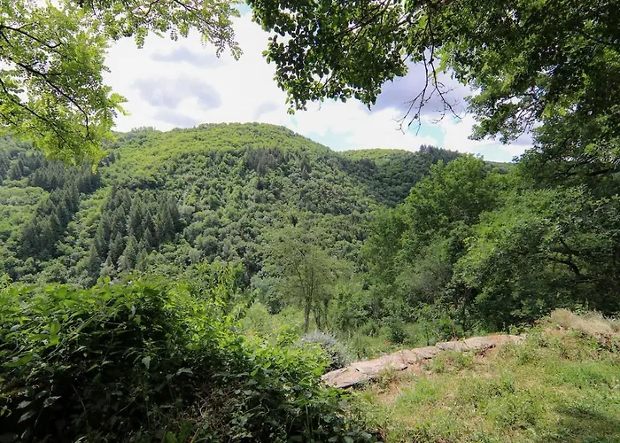Hébergement de vacances La Maisonnette La Petite Joulinie *