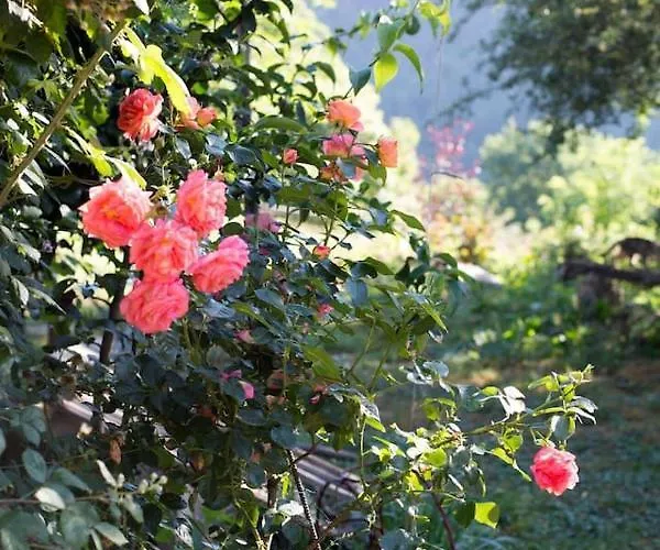 Hébergement de vacances La Maisonnette La Petite Joulinie *