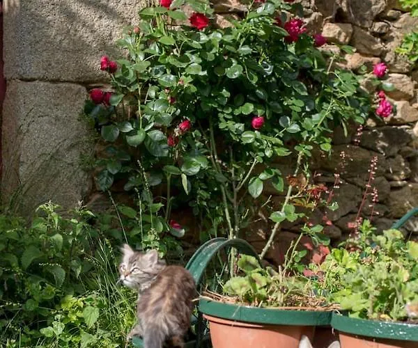 La Maisonnette La Petite Joulinie * Bor-et-Bar