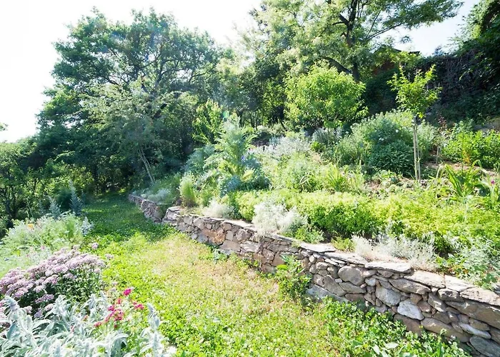 Hébergement de vacances La Maisonnette La Petite Joulinie Bor-et-Bar