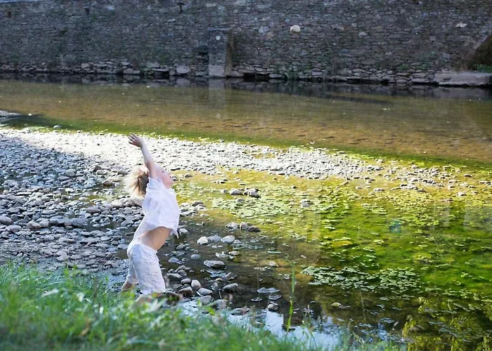 La Maisonnette La Petite Joulinie Hébergement de vacances Bor-et-Bar