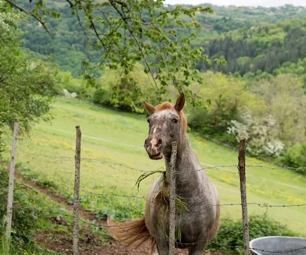 La Maisonnette La Petite Joulinie *